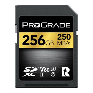 Tarjeta de memoria SDXC de 256 Gb vista frontal